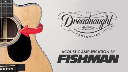 FISHMAN JAPAN | The Leading Brand in Acoustic Instrument Pickups 