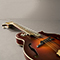 M-300 Nashville Series Archtop Mandolin Pickup